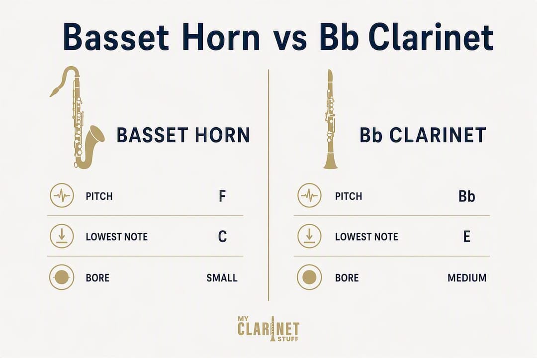 Infographic comparing basset horn and Bb clarinet