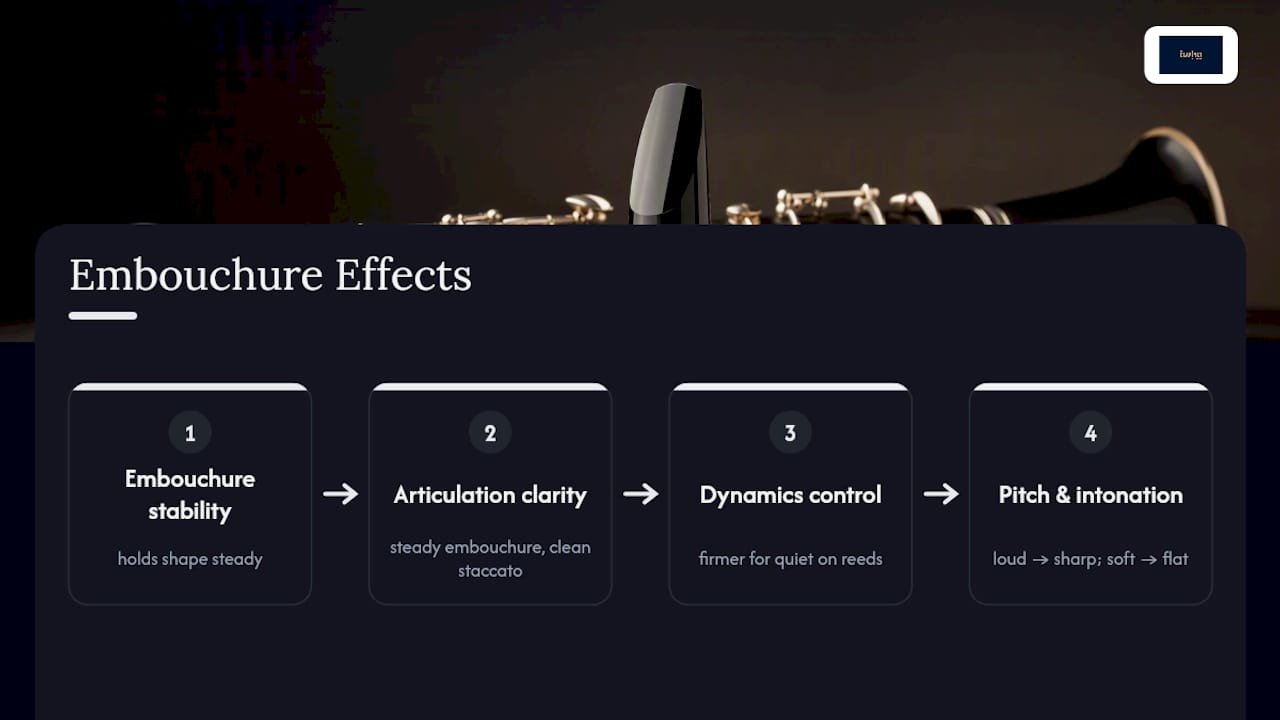 Diagram of embouchure effects on articulation and dynamics