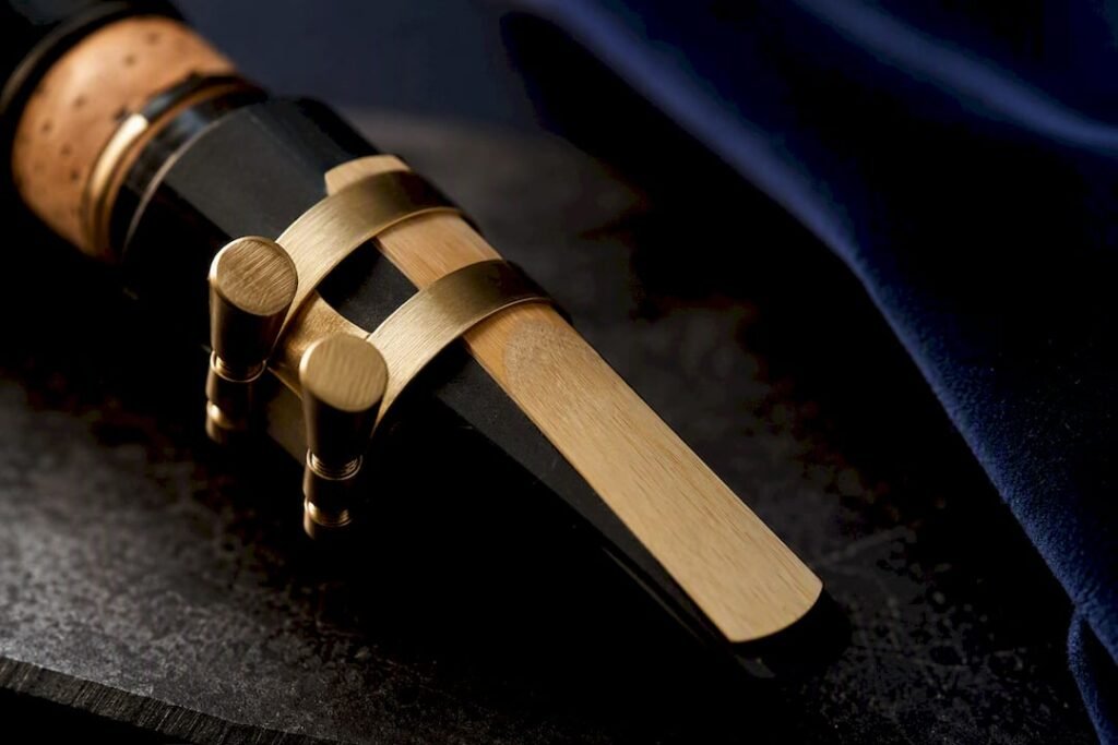 Cropped clarinet mouthpiece, reed, and ligature